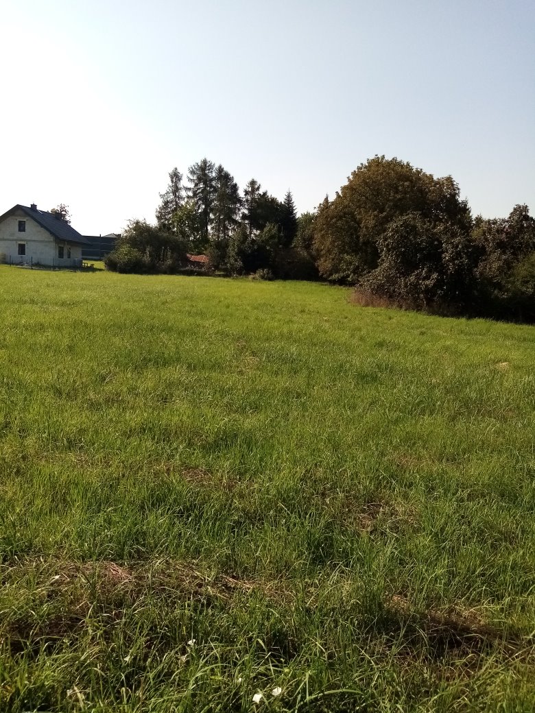 Działka budowlana na sprzedaż Trzciana, gm. Świlcza  3 093m2 Foto 10