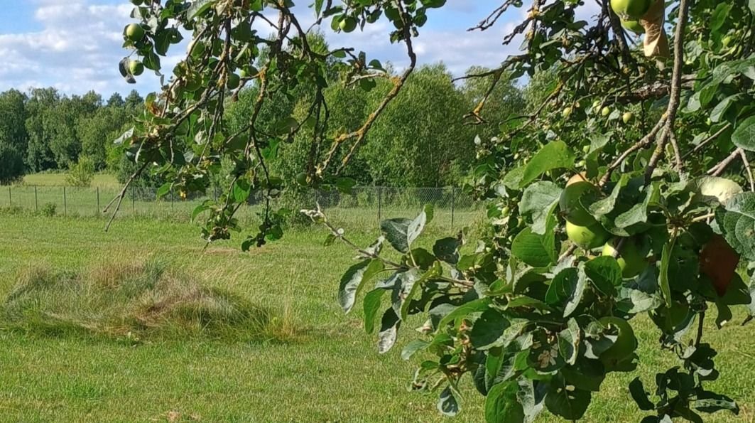 Działka gospodarstwo rolne na sprzedaż Wólka-Przedmieście  11 800m2 Foto 2