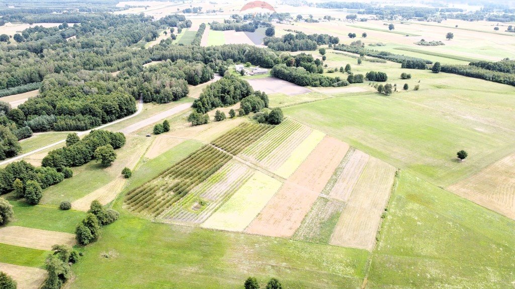 Działka budowlana na sprzedaż Kazanów  49 300m2 Foto 11