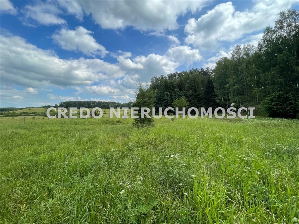 Działka inna na sprzedaż Kaborno  6 800m2 Foto 18