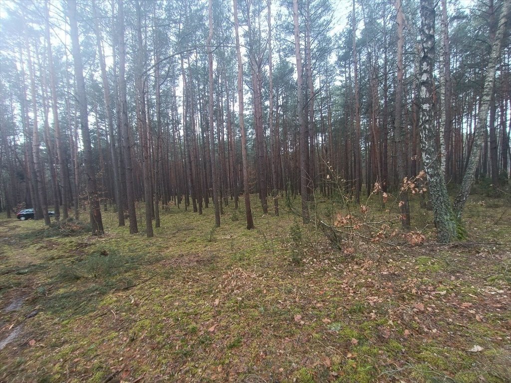 Działka leśna na sprzedaż Gorzakiew  27 000m2 Foto 18