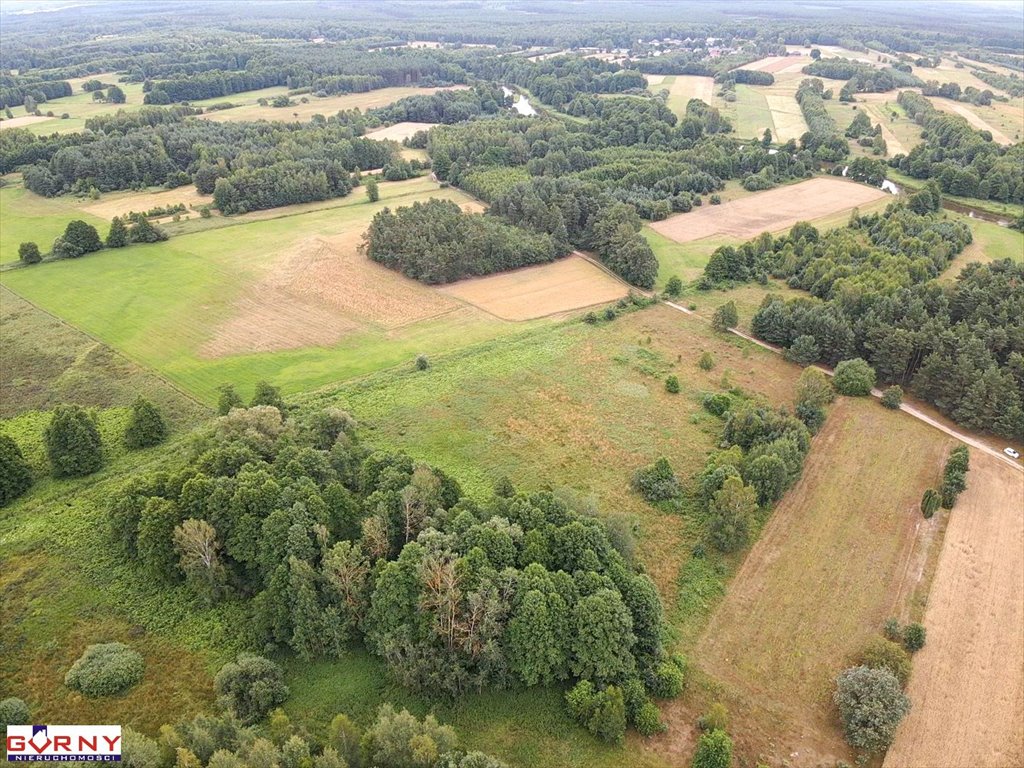 Działka rekreacyjna na sprzedaż Będzyn  20 600m2 Foto 6