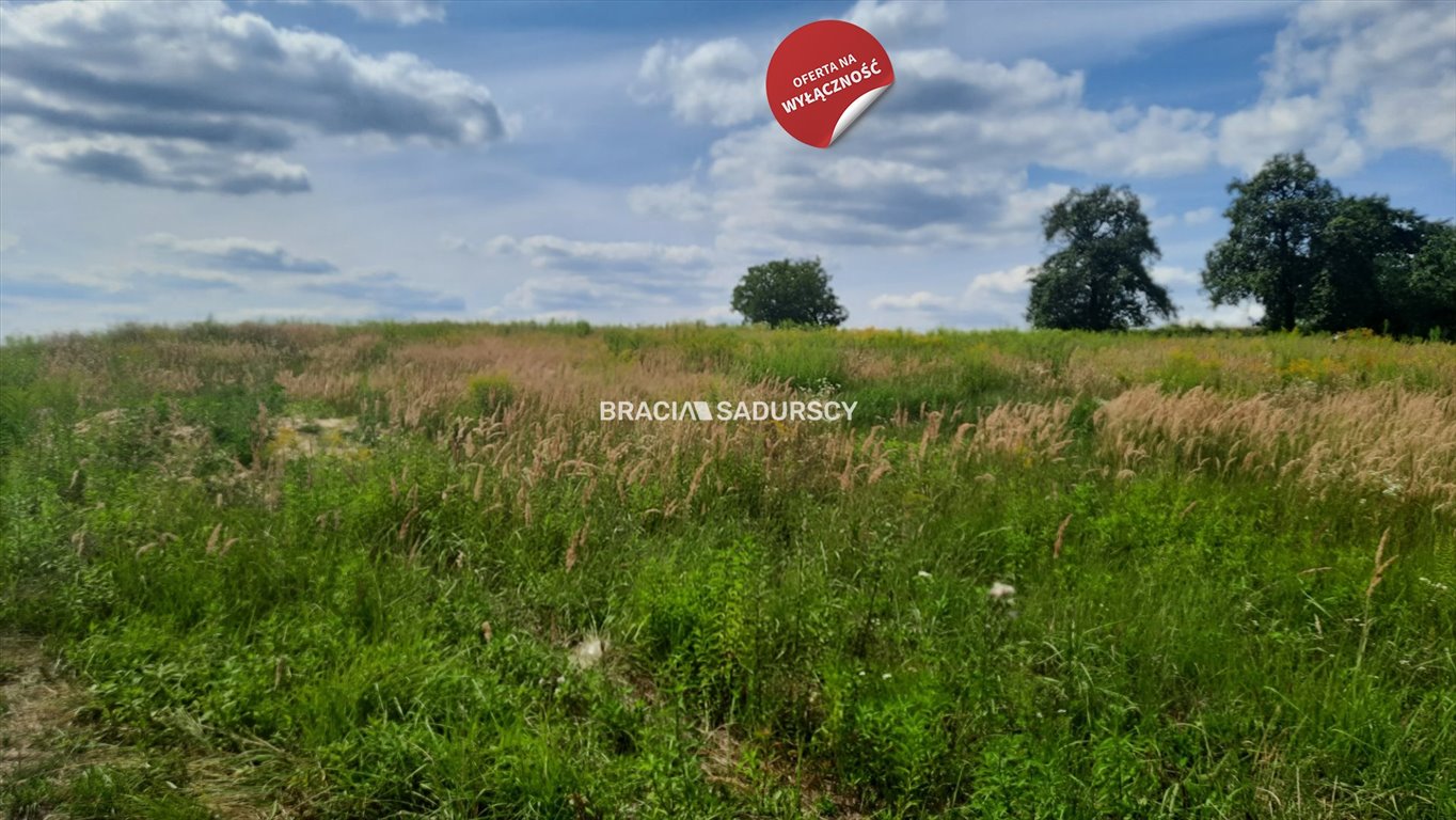 Działka budowlana na sprzedaż Kocmyrzów-Luborzyca, Maciejowice  4 460m2 Foto 16