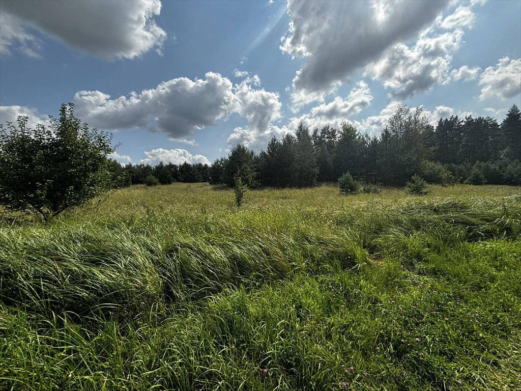 Działka budowlana na sprzedaż Sztum, Sztumska Wieś  1 693m2 Foto 5