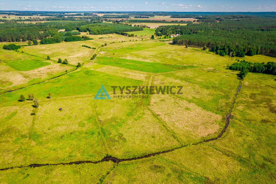 Działka rolna na sprzedaż Poborowo  9 200m2 Foto 10