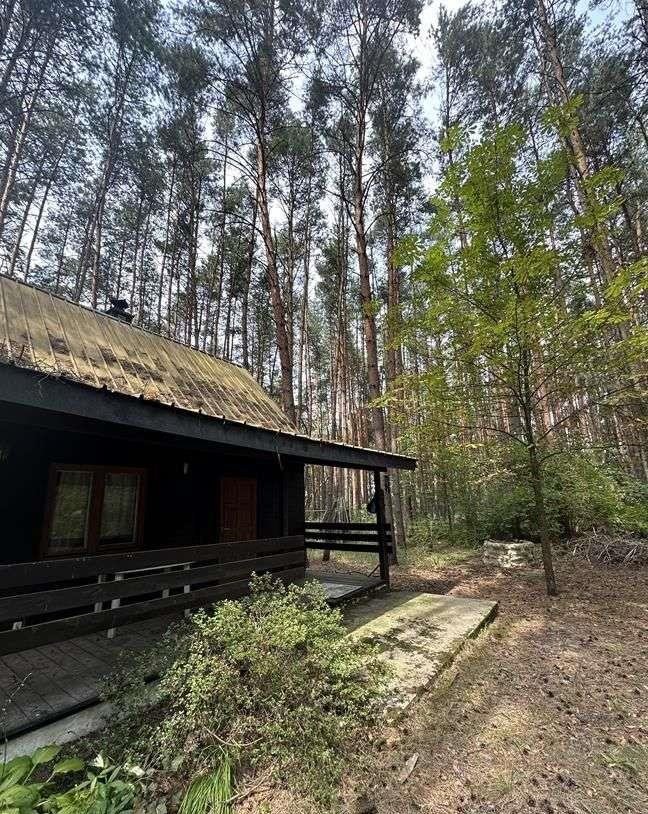 Działka budowlana na sprzedaż Duchnów, Puchacza  1 133m2 Foto 5