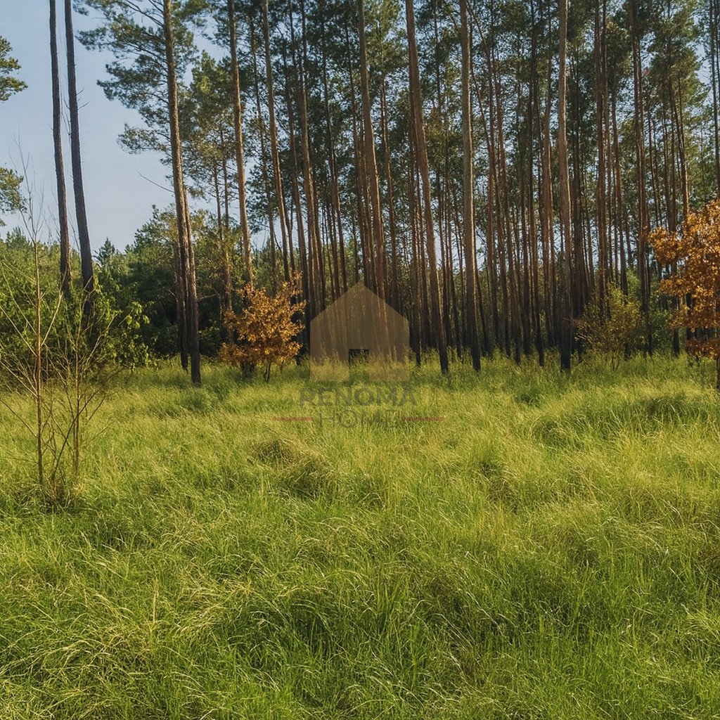 Działka budowlana 744 m² w Drzonkowie – cisza i zieleń Zielona Góra  744m2 Foto 1