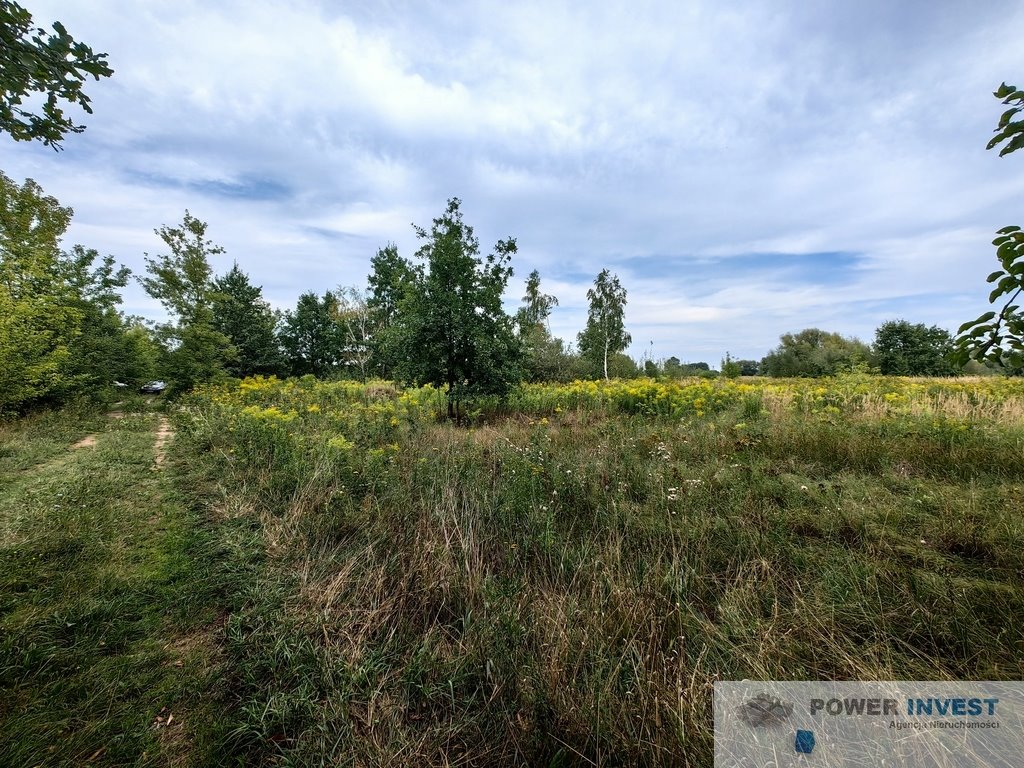 Działka budowlana na sprzedaż Jaktorów-Kolonia  8 770m2 Foto 10