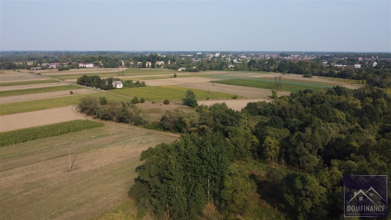 Działka rolna na sprzedaż Lubasz  10 100m2 Foto 4