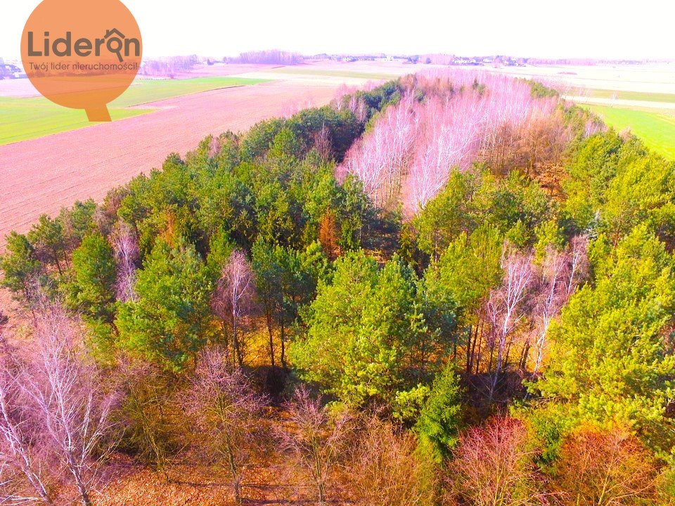 Malownicza działka 40 000 m² pod zabudowę w Zelgoszczy Zelgoszcz  40 000m2 Foto 1