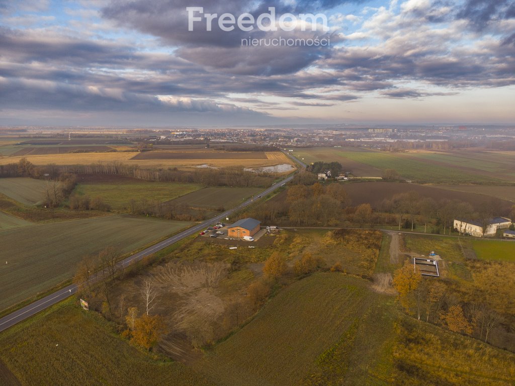 Działka komercyjna na sprzedaż Niwnica  1 714m2 Foto 8