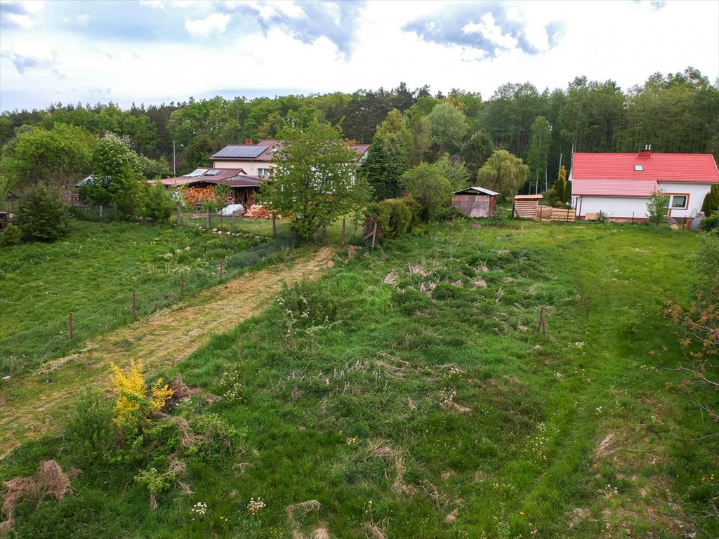 Działka budowlana na sprzedaż Orle  2 676m2 Foto 7