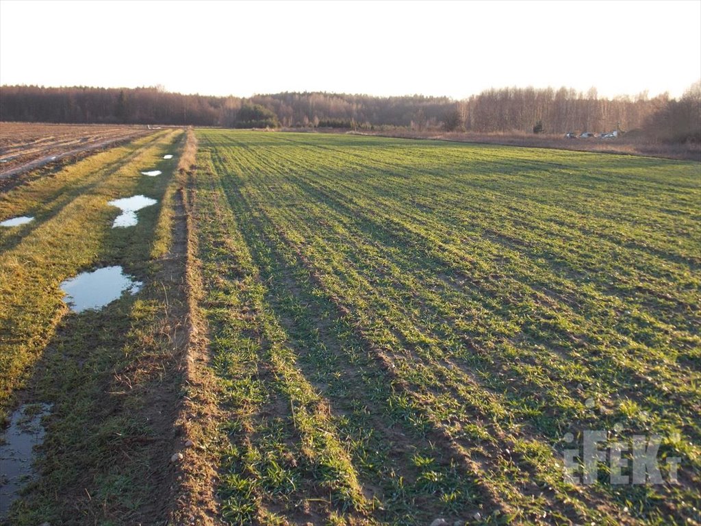 Działka rolna na sprzedaż Lisowola  10 900m2 Foto 1