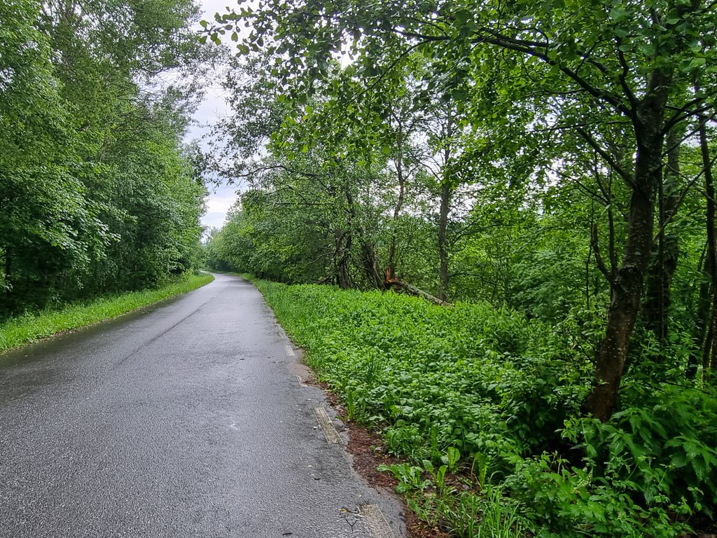 Działka inna na sprzedaż Niemojów  22 900m2 Foto 20