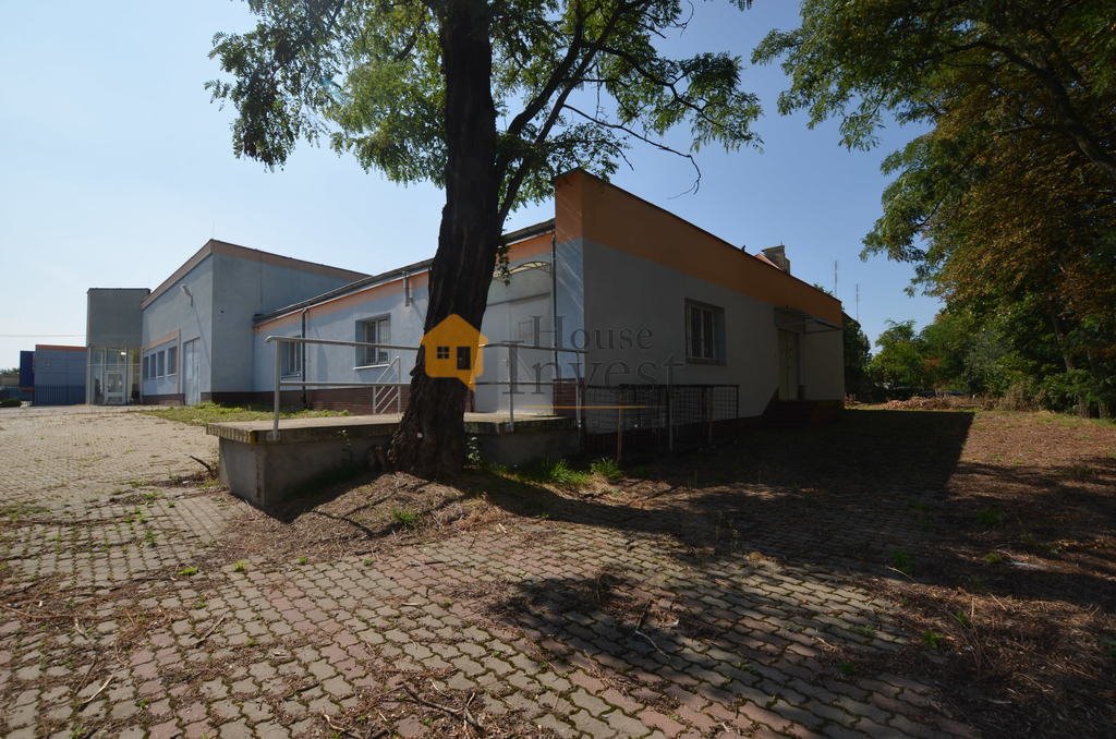 Hala magazynowa 2100 m², działka 47 arów, elastyczne przeznaczenie Głogów, Adama Mickiewicza  2 100m2 Foto 1