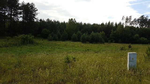 Działka 3004 m² pod dom w Szczycionku - polecam Szczytno, Szczycionek  3 004m2 Foto 1