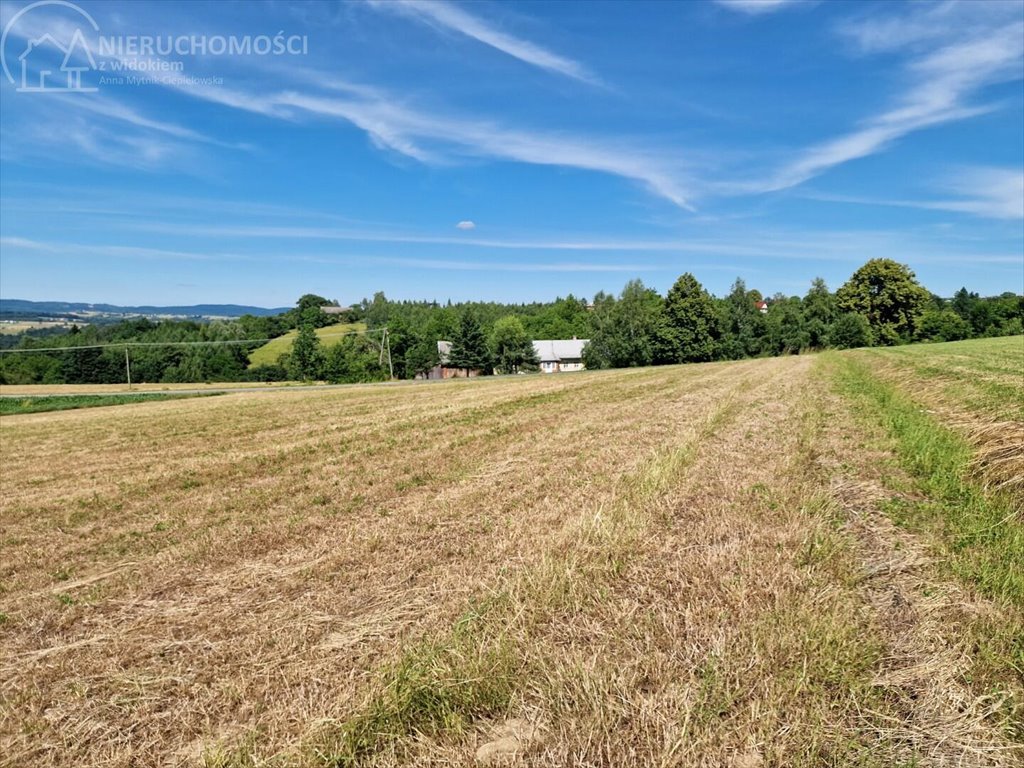 Działka budowlana na sprzedaż Turza  2 400m2 Foto 7