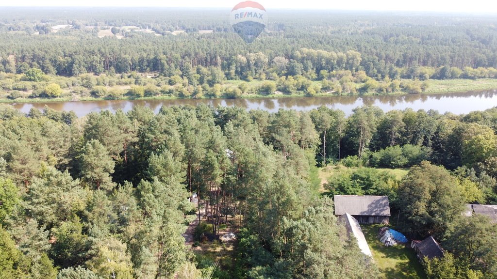 Działka budowlana na sprzedaż Paulinowo, Królowej Bony  5 000m2 Foto 5