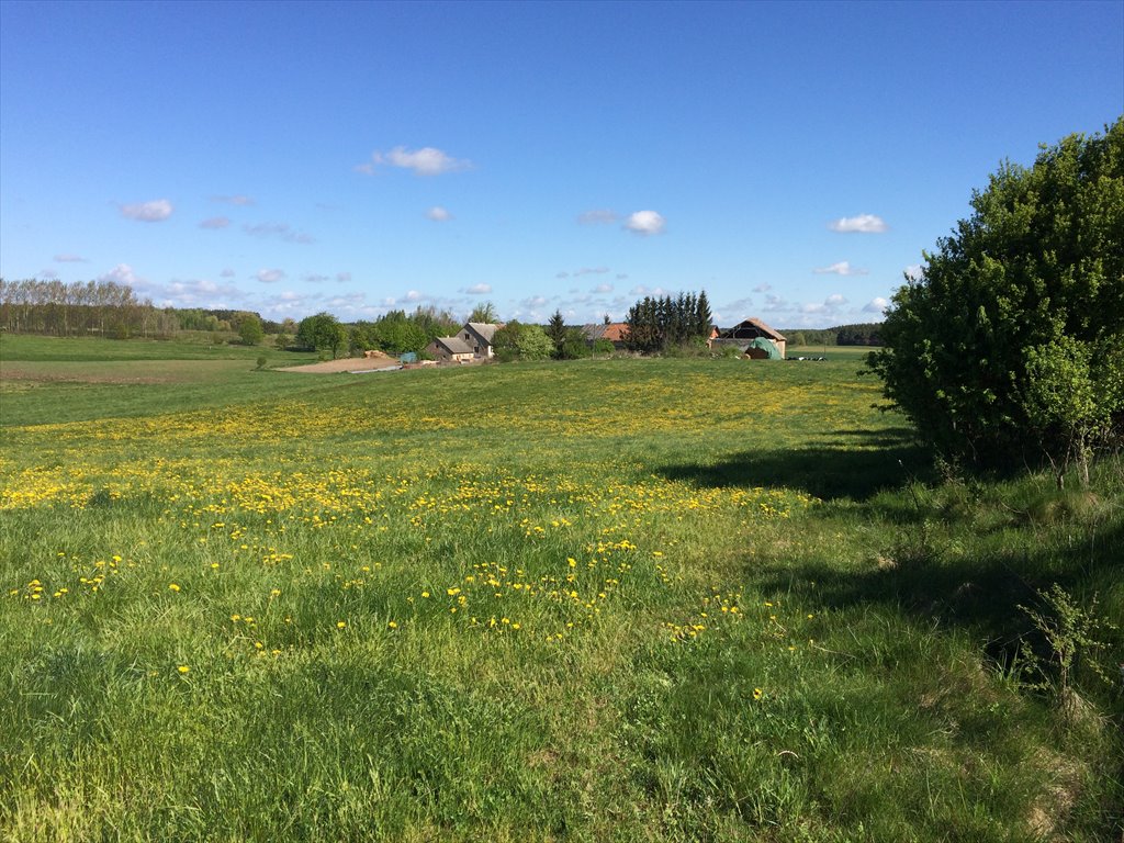 Działka rolna na sprzedaż Giżycko  8 961m2 Foto 2