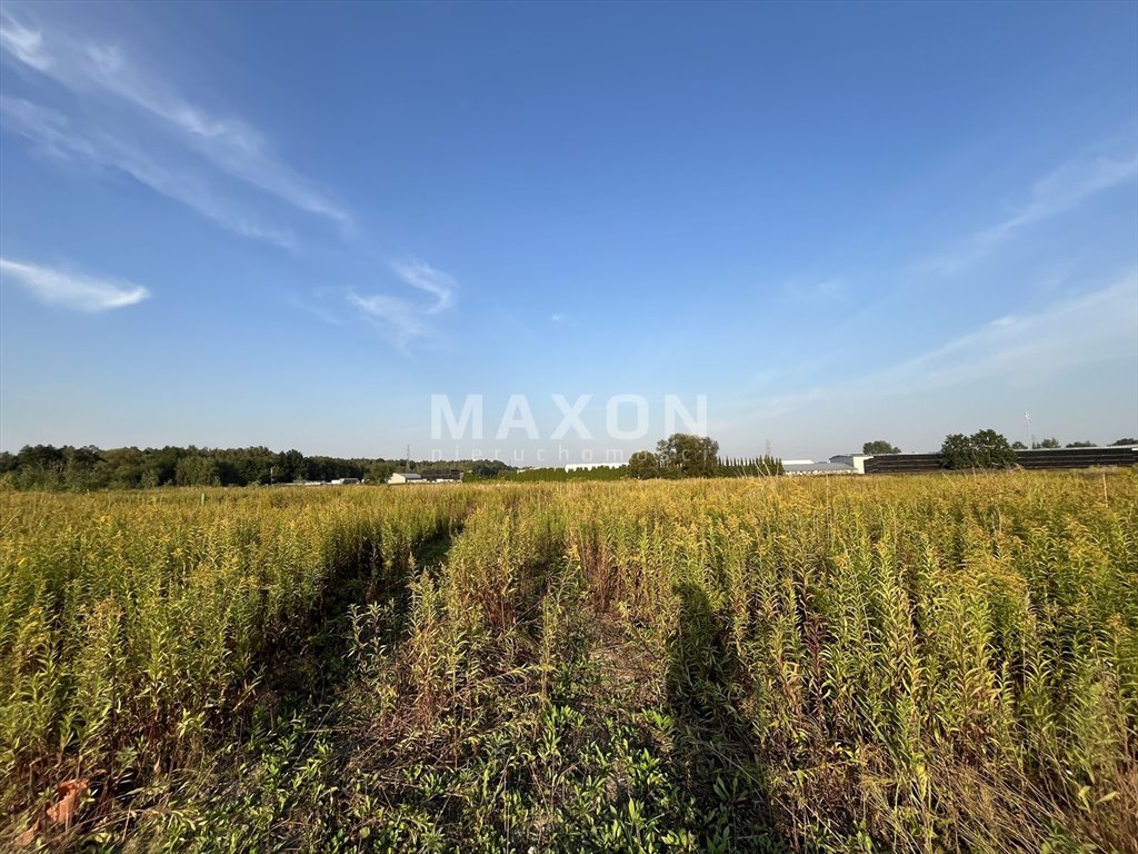 Działka budowlana na sprzedaż Góraszka  12 500m2 Foto 12