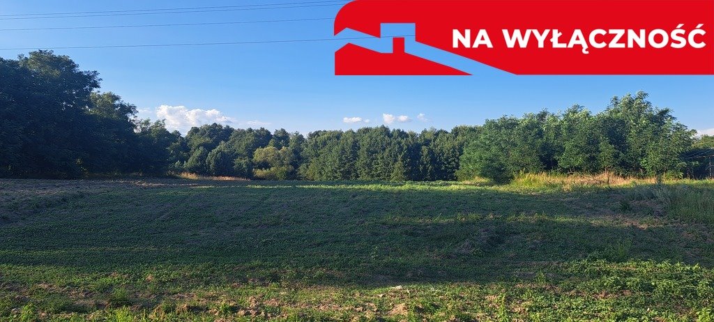 Działka 1.3 ha z lasem i mediami - polecam Stary Majdan  13 000m2 Foto 1