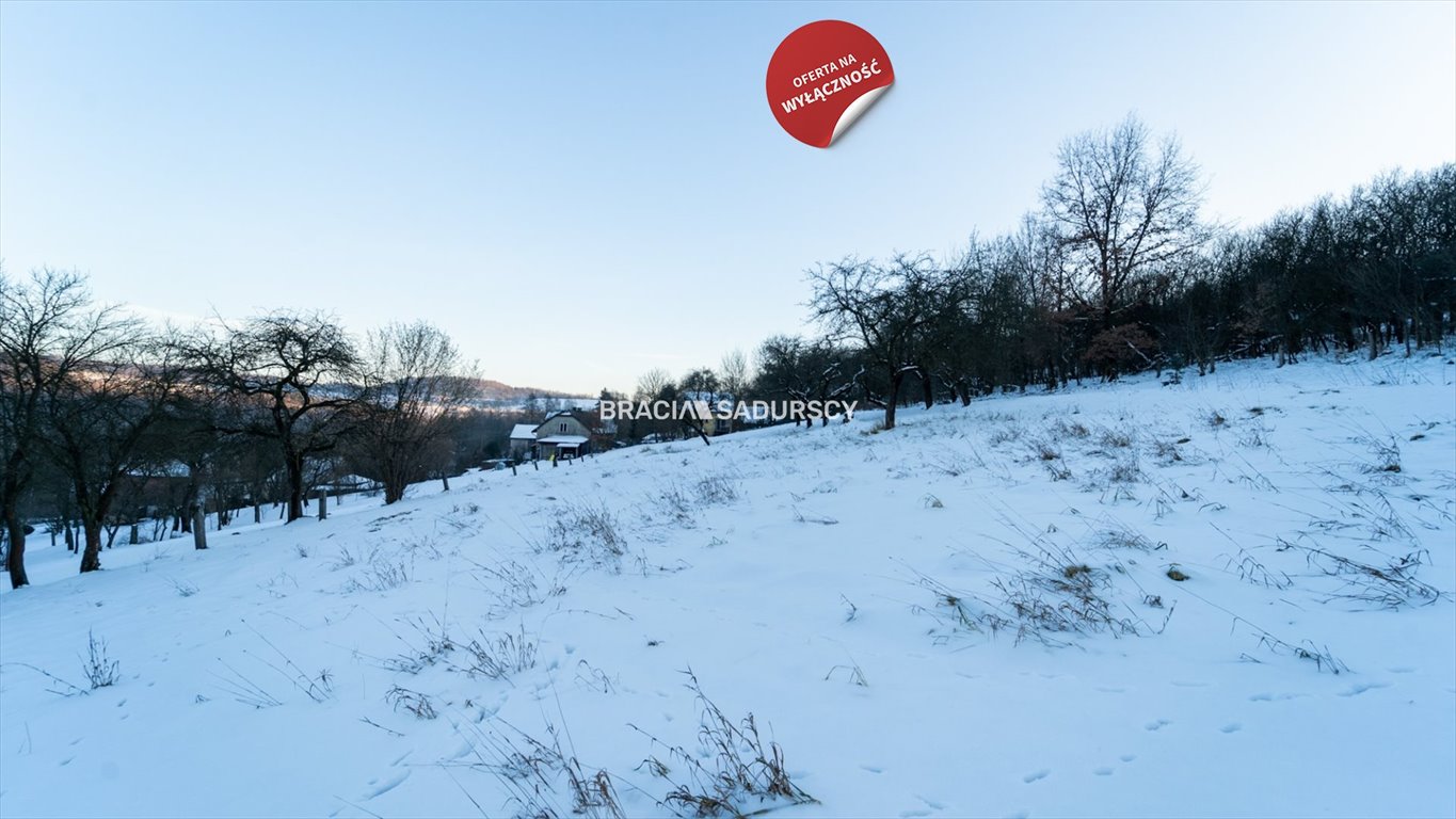 Działka budowlana na sprzedaż Czerna  3 600m2 Foto 16