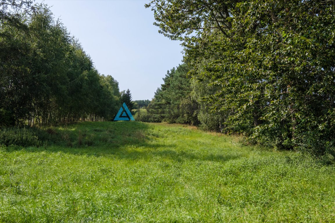 Działka budowlana na sprzedaż Postołowo  3 300m2 Foto 4