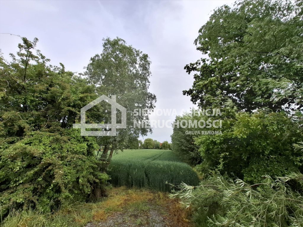 Działka rolna na sprzedaż Ostaszewo  1 080m2 Foto 1