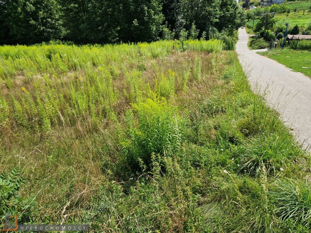 Działka budowlana na sprzedaż Baranówka  1 480m2 Foto 5