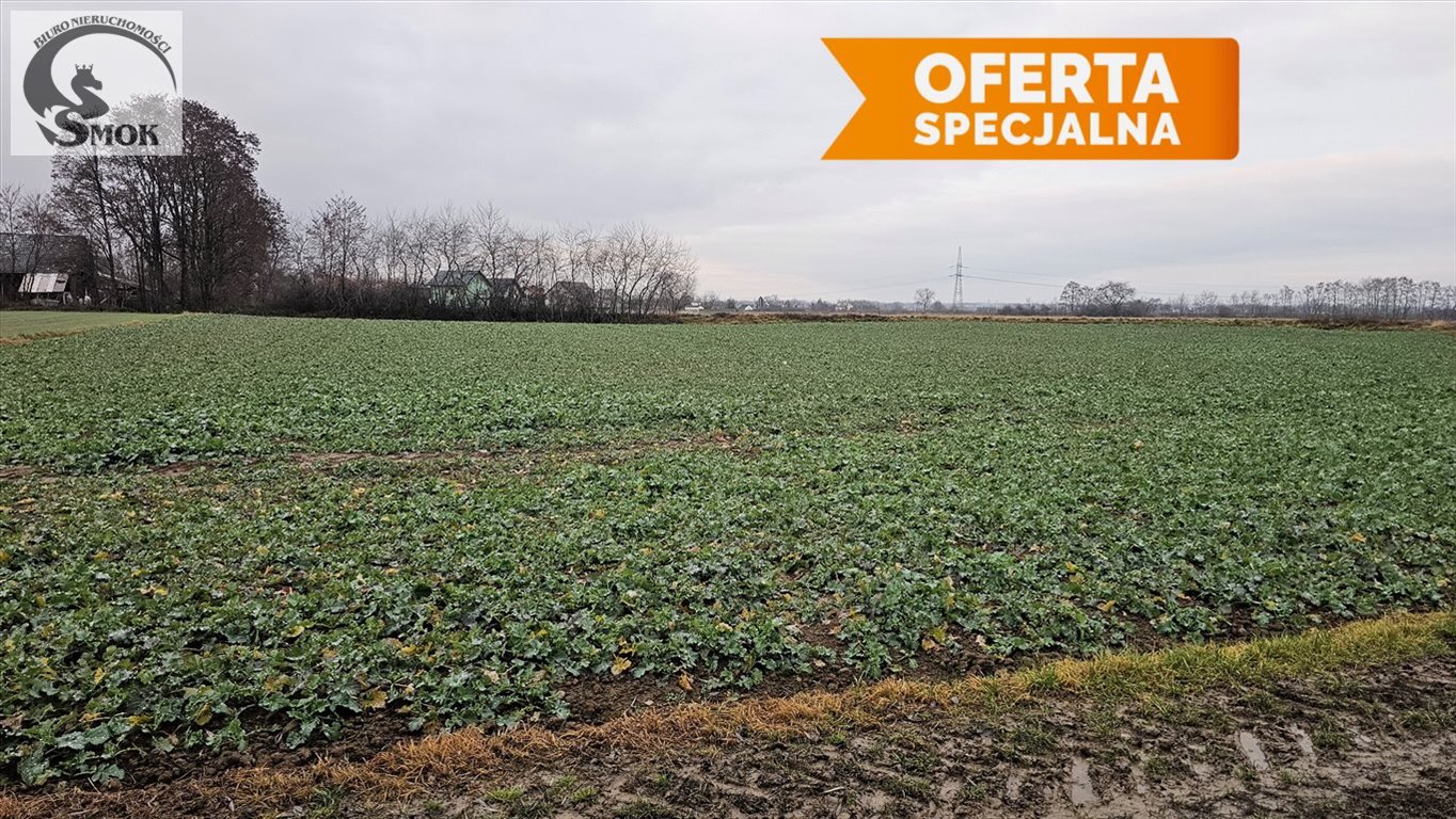 Sprzedam działkę 86 arów z warunkami zabudowy w Krakowie Kraków, Nowa Huta, Przylasek Wyciąski  8 569m2 Foto 1