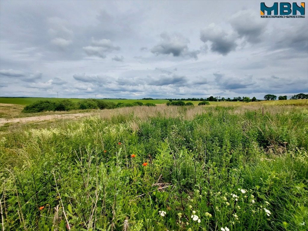 Działka budowlana na sprzedaż Jeziorowskie, Jeziorowskie  1 071m2 Foto 10