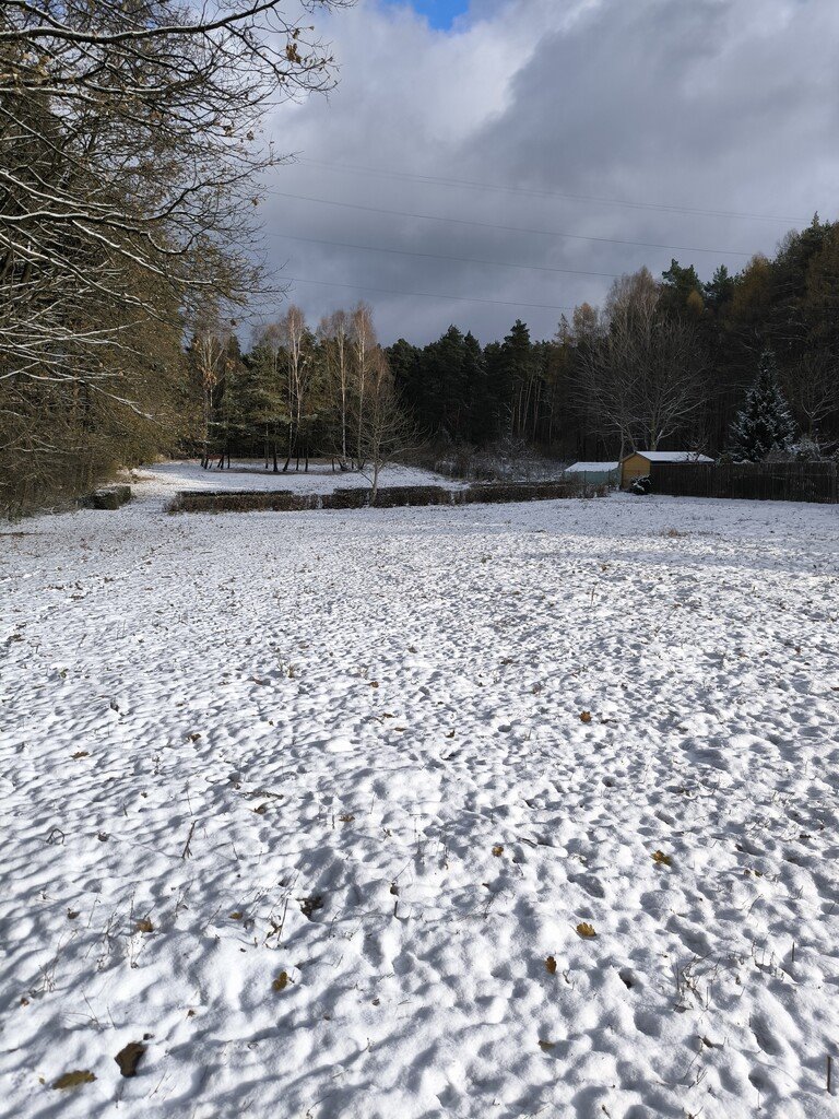 Działka rolna na sprzedaż Kielce, Iglasta  5 340m2 Foto 11