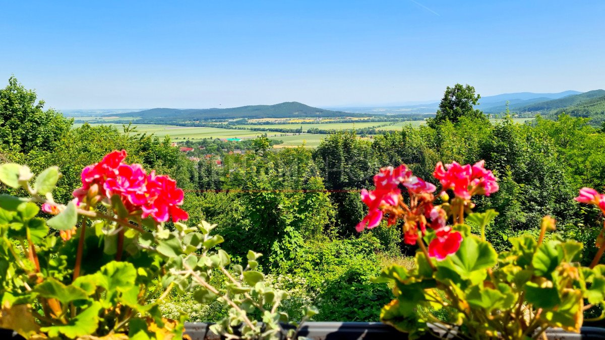 Pensjonat z widokiem na góry, 320 m2, inwestycja Srebrna Góra  320m2 Foto 1