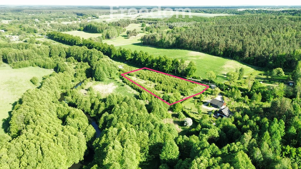 Urokliwa działka siedliskowa 6413 m² nad Dobrzycą - cisza i natura Tarnowo  6 413m2 Foto 1