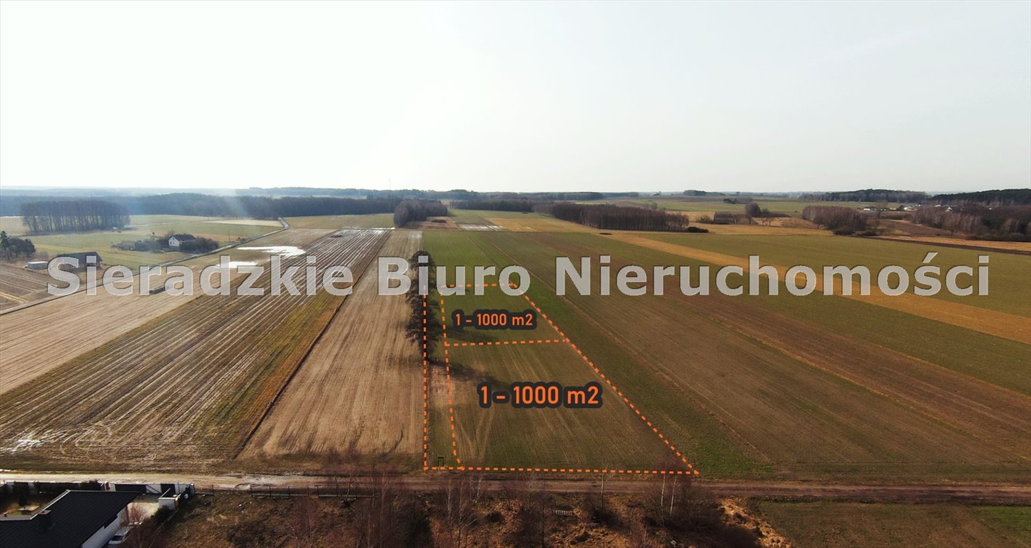 Zdjęcie 5