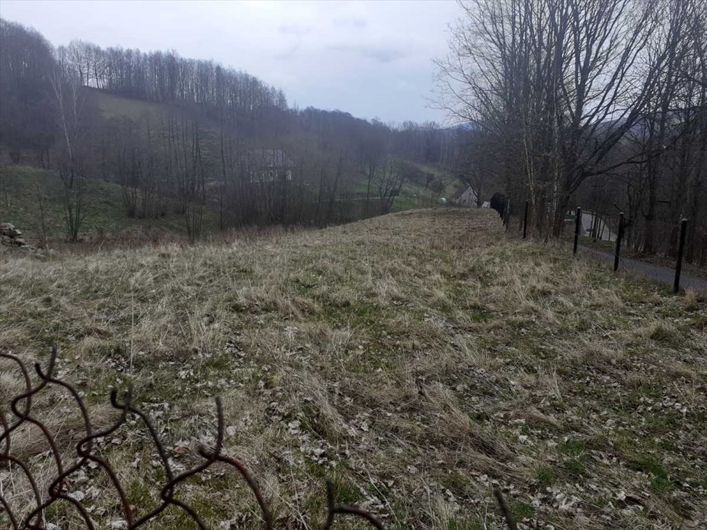 Działka inna na sprzedaż Walim  1 234m2 Foto 4