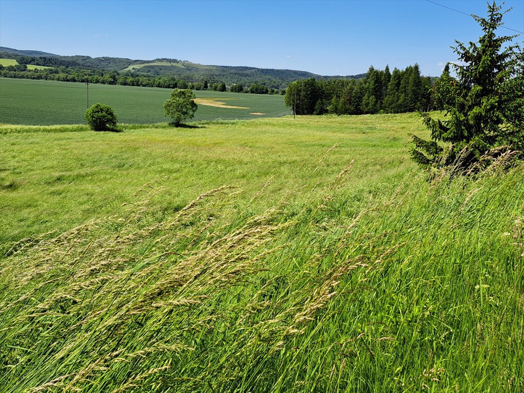 Działka rolna na sprzedaż Ulucz  529m2 Foto 6