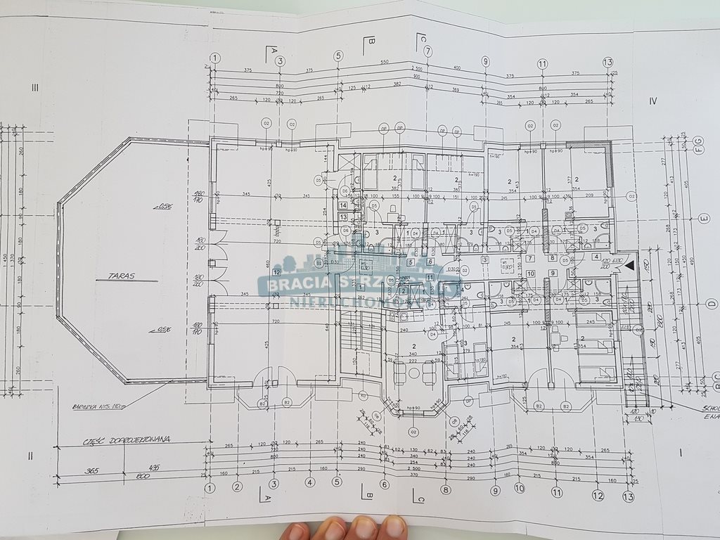 Działka budowlana na sprzedaż Sierzchów  10 000m2 Foto 11