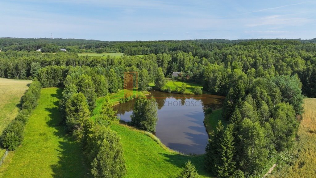 Działka siedliskowa na sprzedaż Grabowska Huta  16 780m2 Foto 5