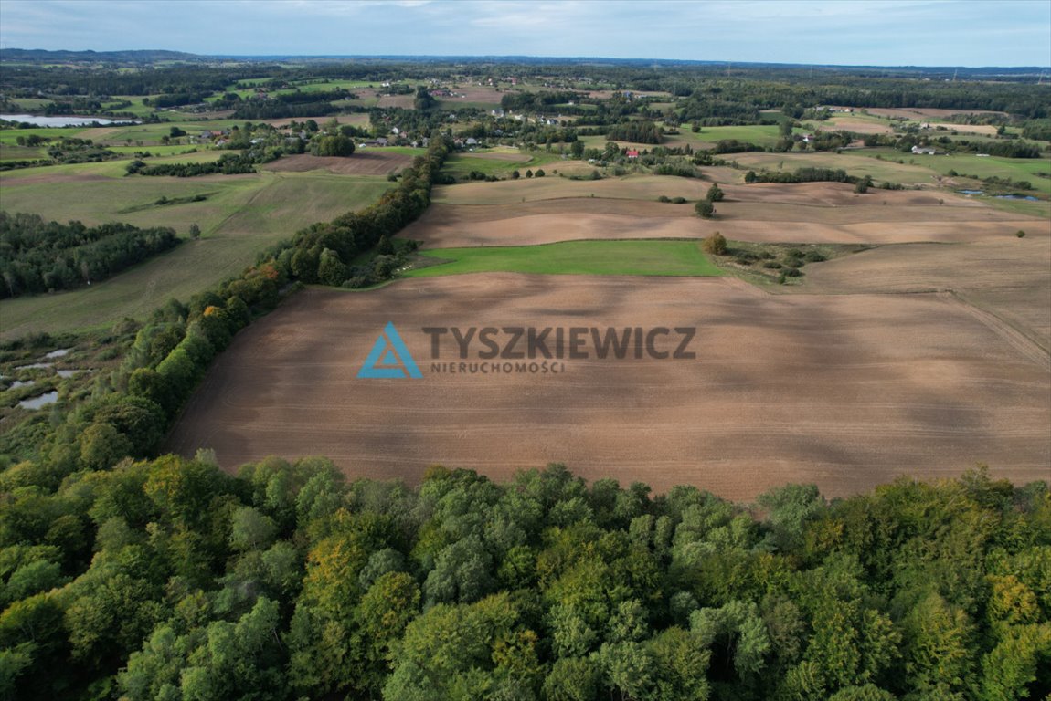 Działka rolna na sprzedaż Roztoka, Lipowa  21 125m2 Foto 6