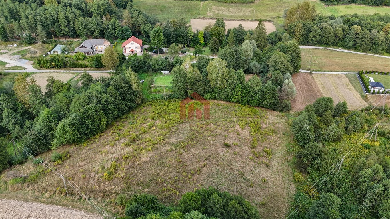 Działka budowlana na sprzedaż Niedźwiada  5 500m2 Foto 5