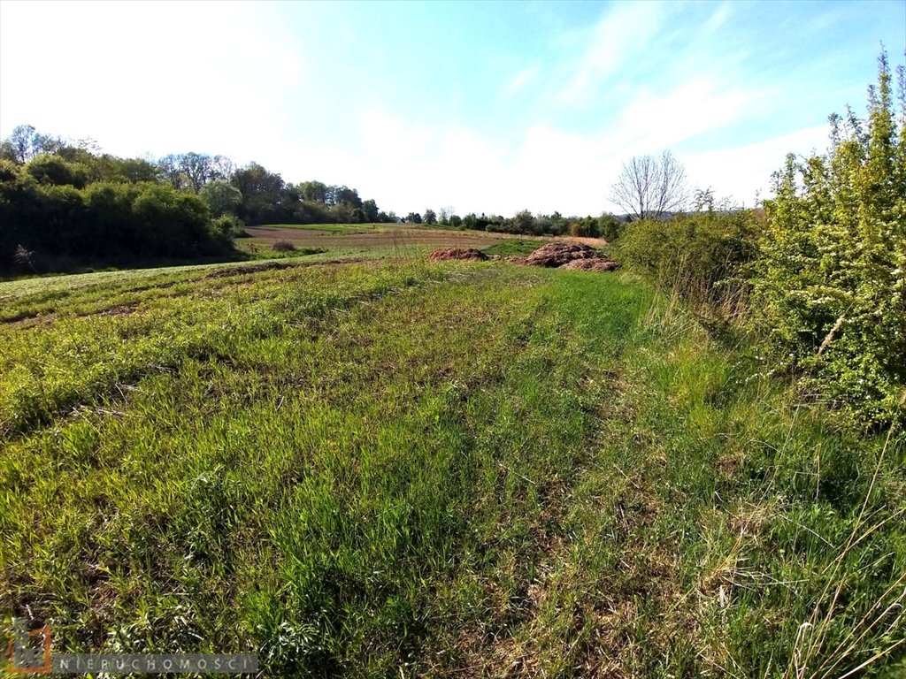 Działka budowlana na sprzedaż Pękowice  1 049m2 Foto 3