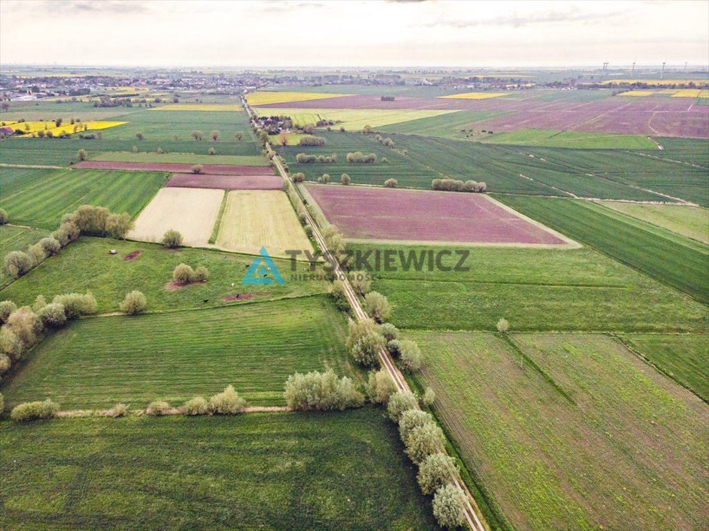 Działka rolna na sprzedaż Nowy Dwór Gdański  3 200m2 Foto 7