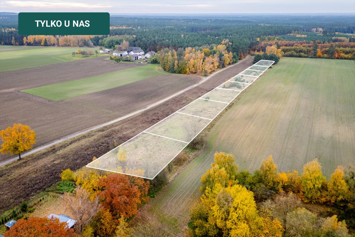 Działka budowlana na sprzedaż Zawały  7 356m2 Foto 1