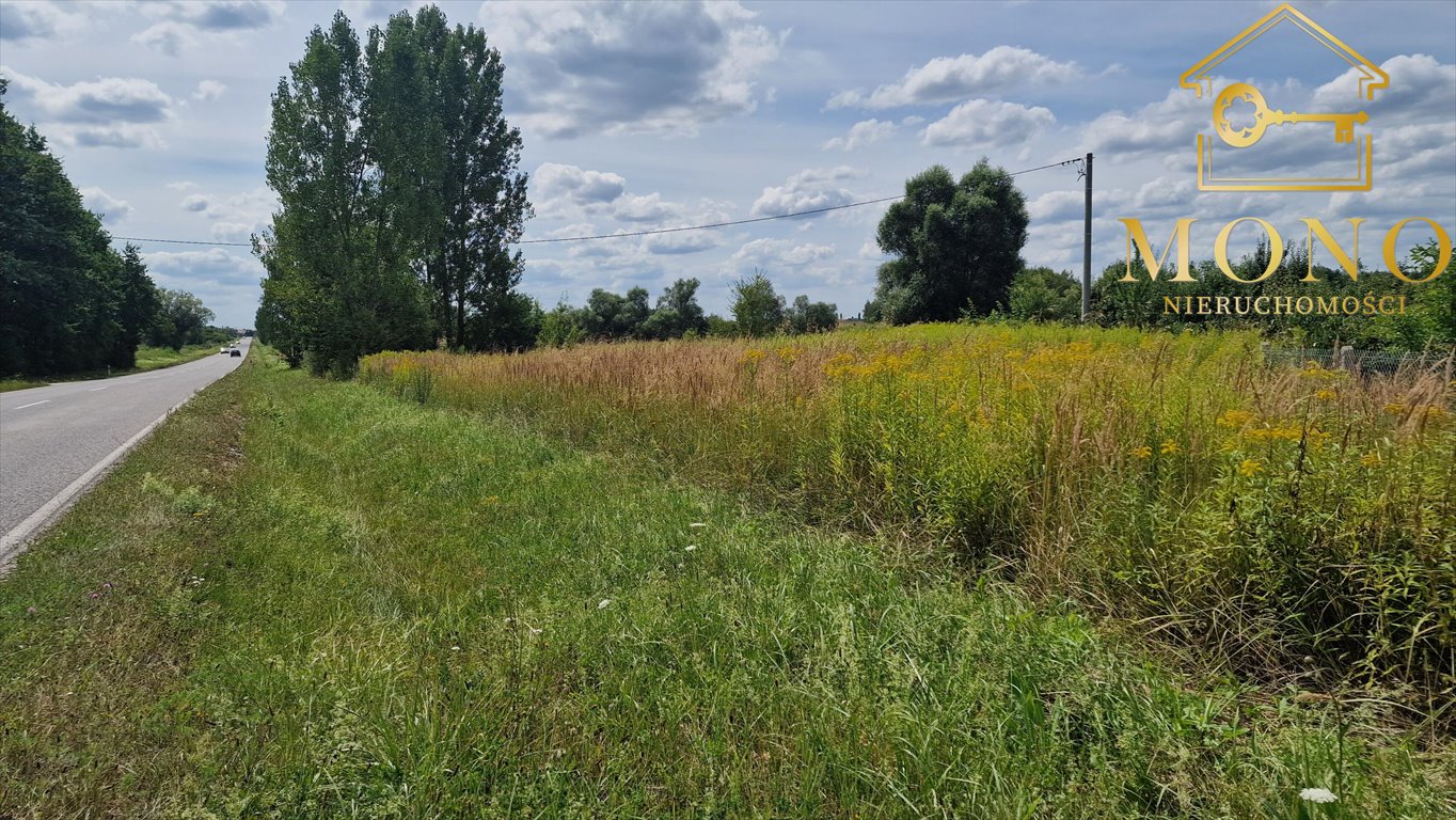 Działka budowlana na sprzedaż Piasek Wielki  26 800m2 Foto 3