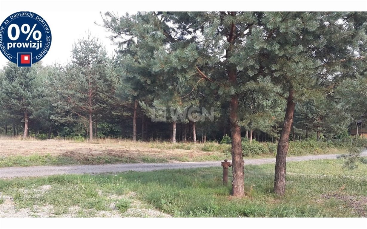 Działka budowlana na sprzedaż Przeginia Duchowna, Zalas  3 300m2 Foto 3