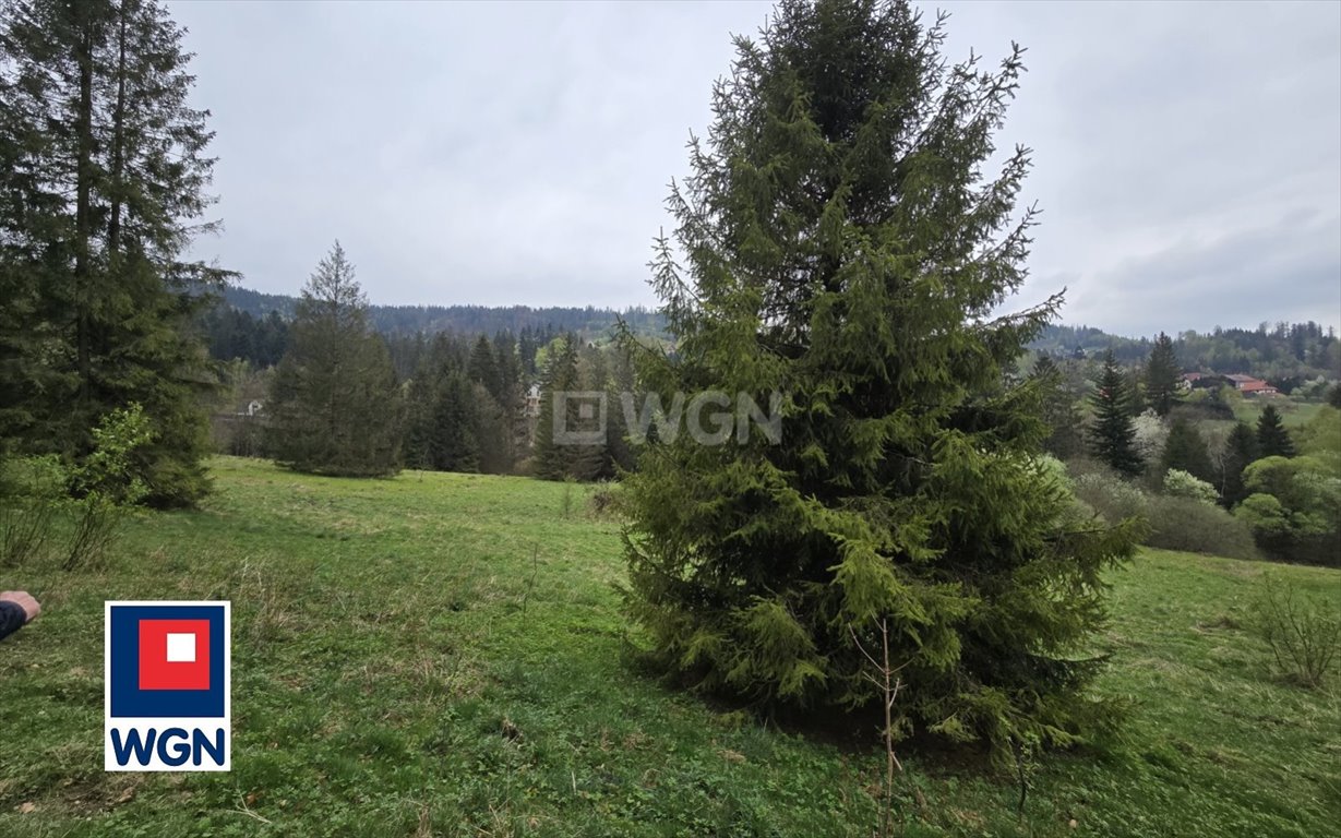 Działka budowlana na sprzedaż Wisła, Głębce  6 599m2 Foto 9