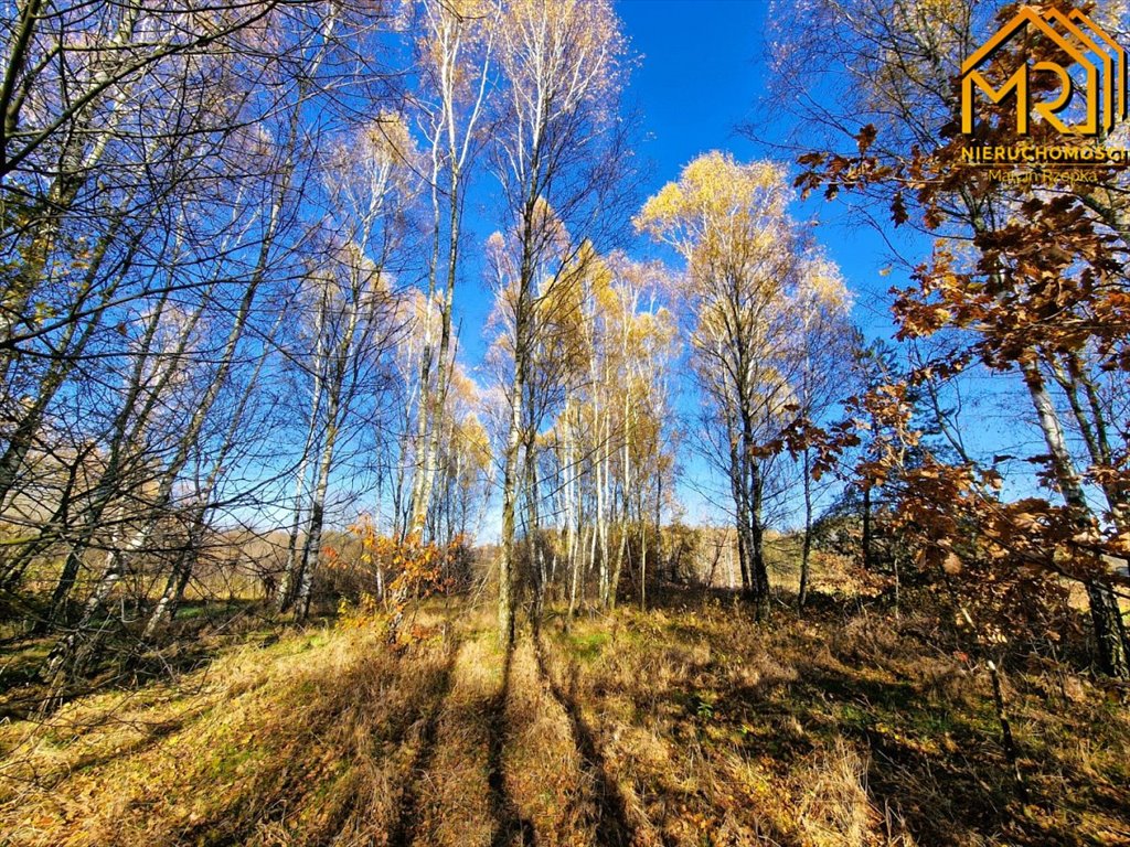 Działka inna na sprzedaż Pogórska Wola  2 389m2 Foto 7