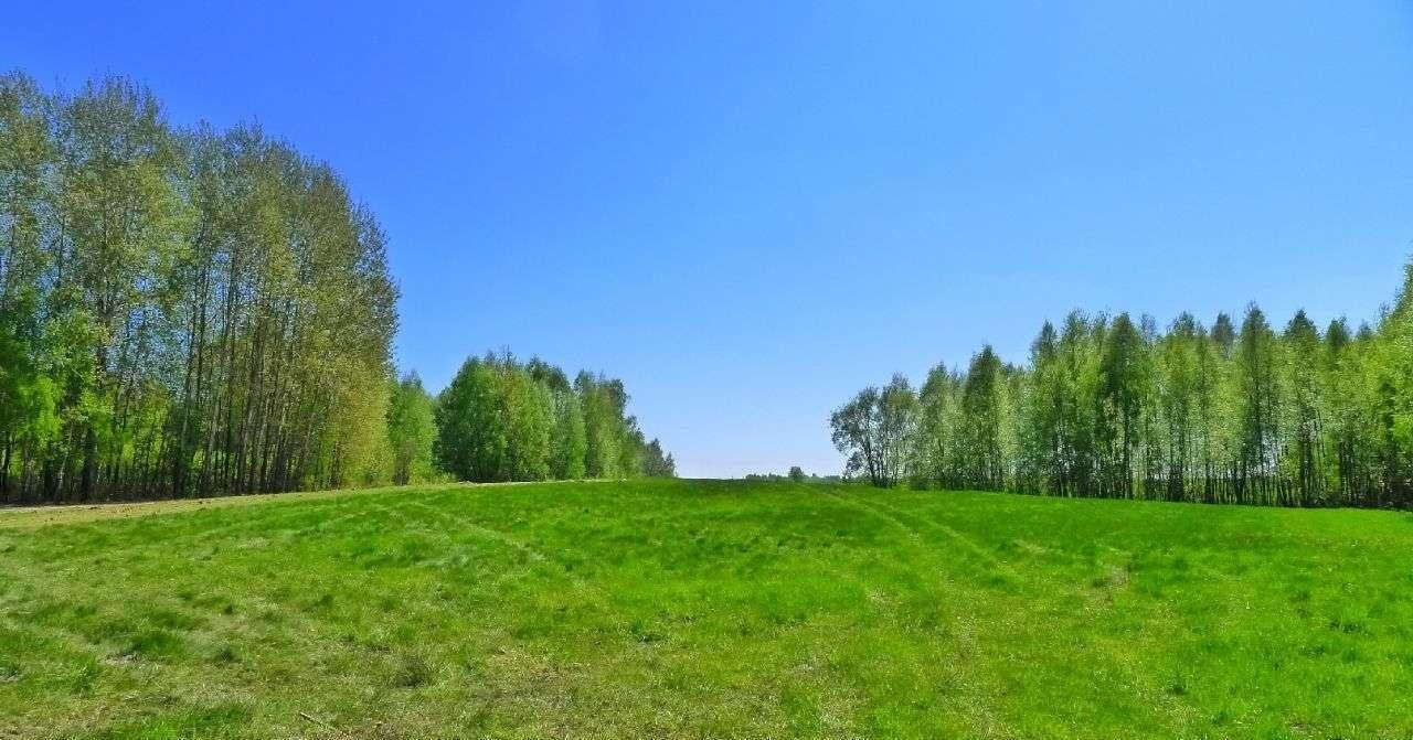 Działka rolna na sprzedaż Krasnopol  3 000m2 Foto 14