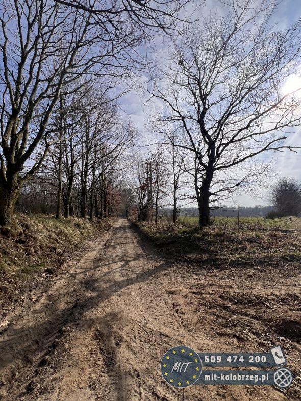 Działka budowlana na sprzedaż Nieżyn  4 800m2 Foto 9